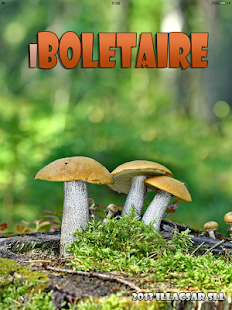 iBoletaire Screenshots 5