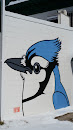 Blue Jay Mural
