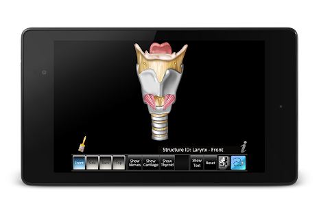 Larynx ID Screenshots 5
