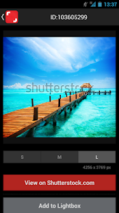 Shutterstock - screenshot thumbnail