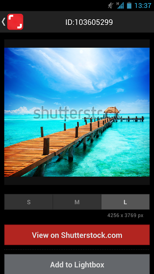 Shutterstock - screenshot