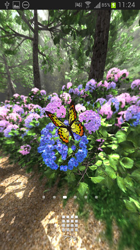 Hydrangea Path 360° Trial