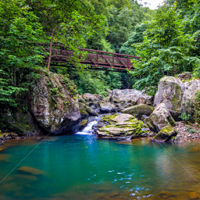 new river 1 by Mike Pedigo - Landscapes Waterscapes