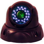 Viewer Pro For Geovision cams Apk