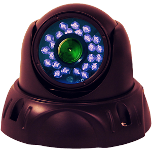 Viewer Pro For Geovision cams.apk 4.3