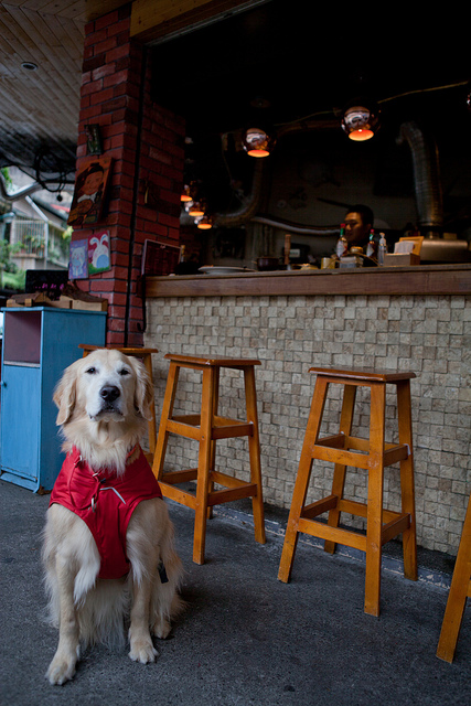 We里.手工義式窯烤Pizza /壽司 生魚片