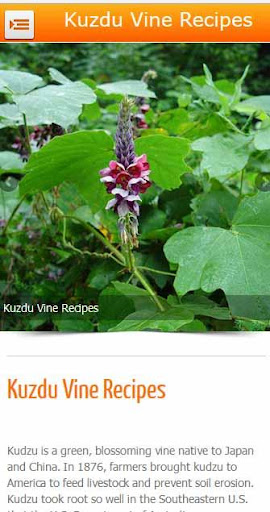 【免費健康App】Kudzu Vine Recipes-APP點子