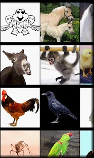 How to download Animal Sounds For Babies No Ad 1.01 unlimited apk for android