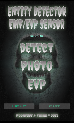 Entity Detector