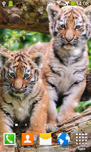 download Little Tiger Live Wallpaper free