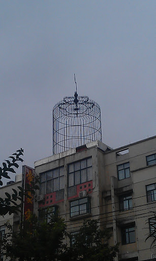 Giant's birdcage