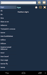 English Multiple Languages poster 13