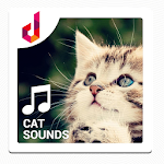 Cat Sound Ringtones Apk
