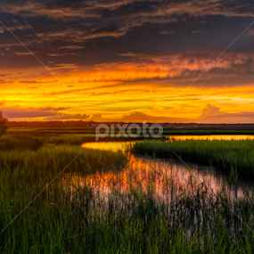 Sunset on the Marsh by Mark Smith - Landscapes Sunsets & Sunrises