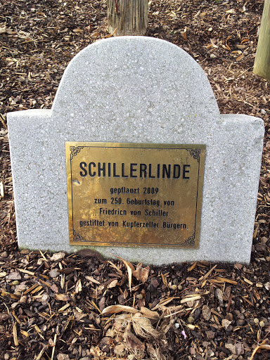 Schillerlinde