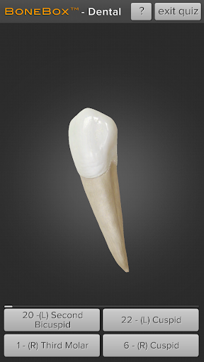 【免費醫療App】BoneBox™ - Dental Lite-APP點子