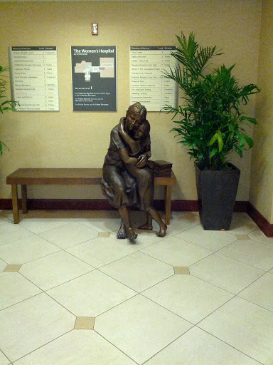 Centennial Women's Hospital Sculpture