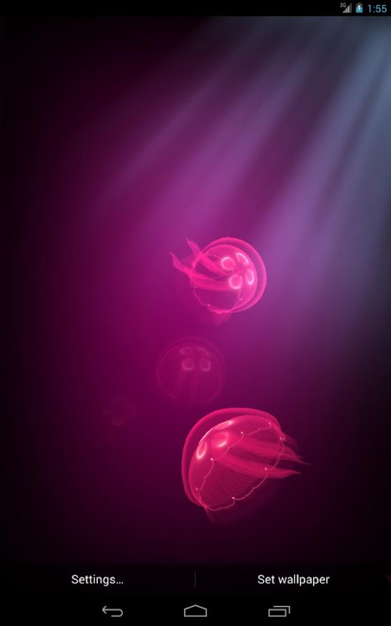 Live Jellyfish - screenshot