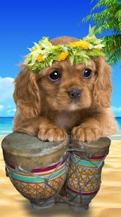 download พูดคุยลูกสุนัข free