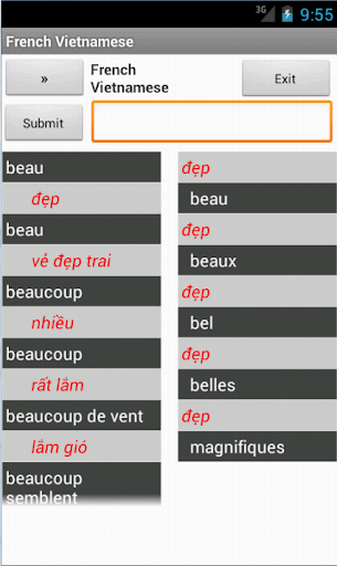 Vietnamese French Dictionary