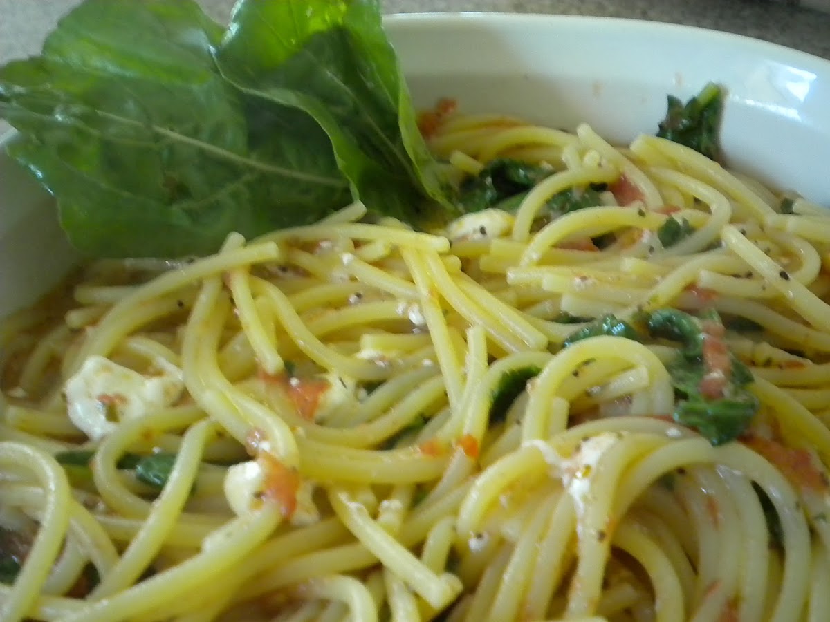 10 Best Burrata with Pasta Recipes