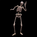 3D Dancing Skeleton LWP icon