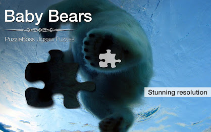 Baby Bear Jigsaw Puzzles Demo poster 9
