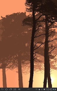 Download Misty Forest Free APK for Android