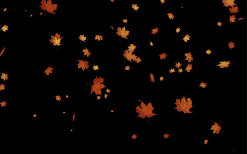 How to download Leaves Falling Free Live WP 0.6 apk for android