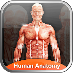 Human Anatomy Explorer.apk