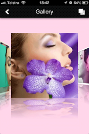 Glamour Puss Beauty Salon poster 5