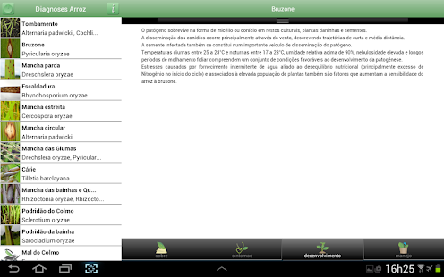 Diagnoses - Arroz Irrigado Screenshots 3