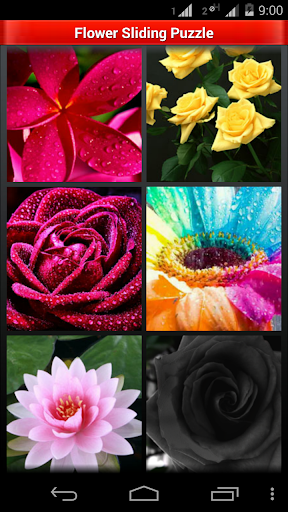 Beautiful Flowers: Puzzle Game