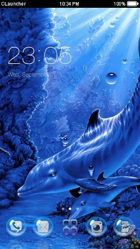 Dolphins Life C Launcher Theme