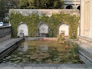 Museum Pool and Fountain
