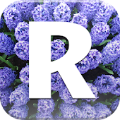 Путеводители и оффлайн карты