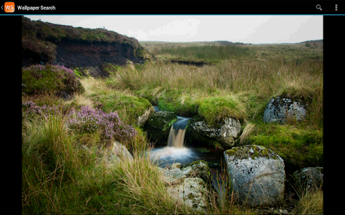 download Wallpaper Search free