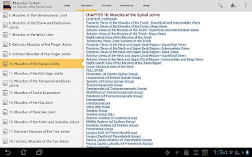 The Muscular System Manual