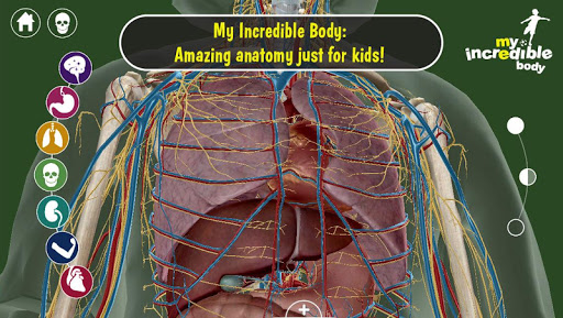 My Incredible Body: For Kids
