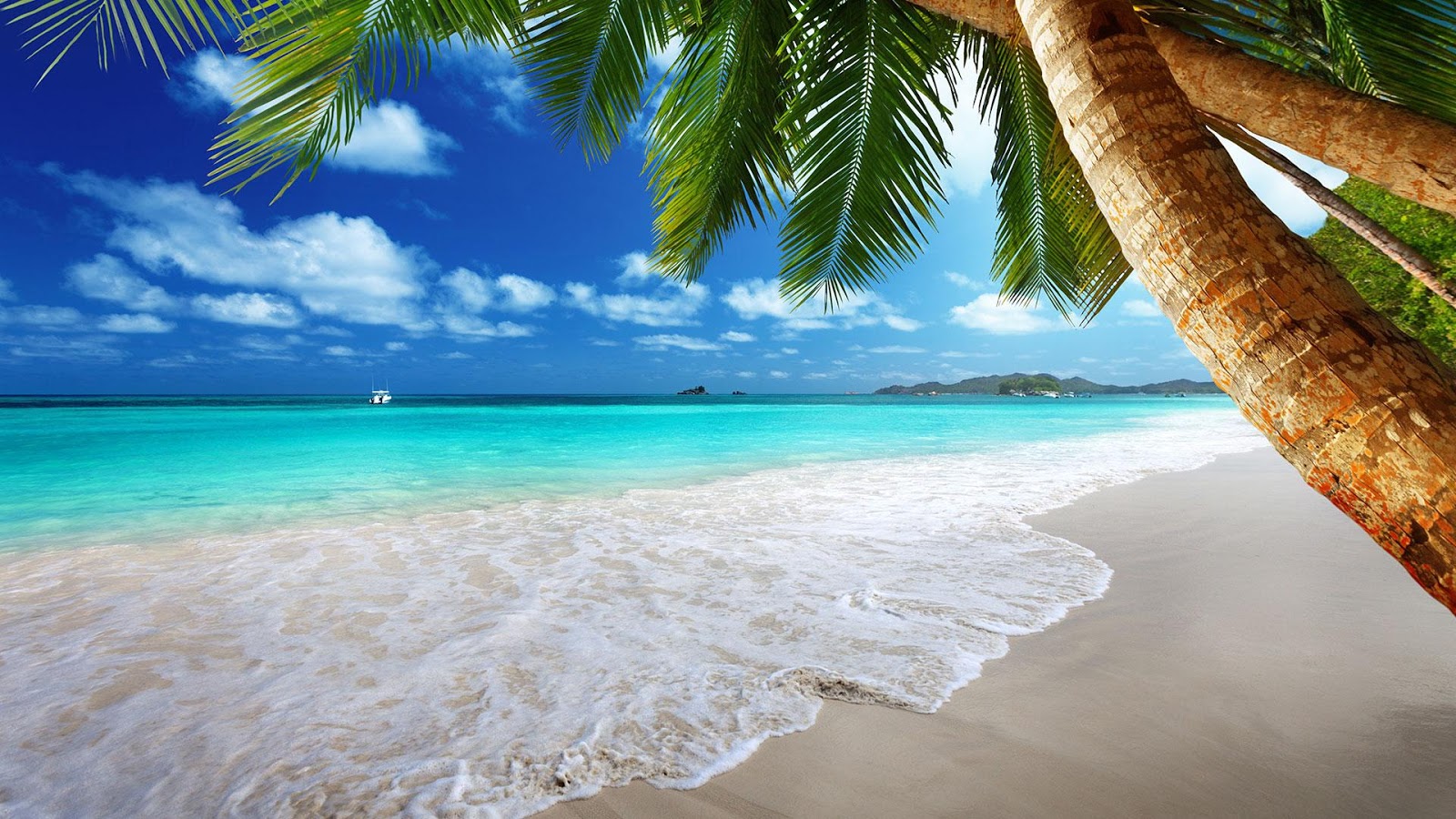 Beach Live Wallpaper - Android Apps on Google Play