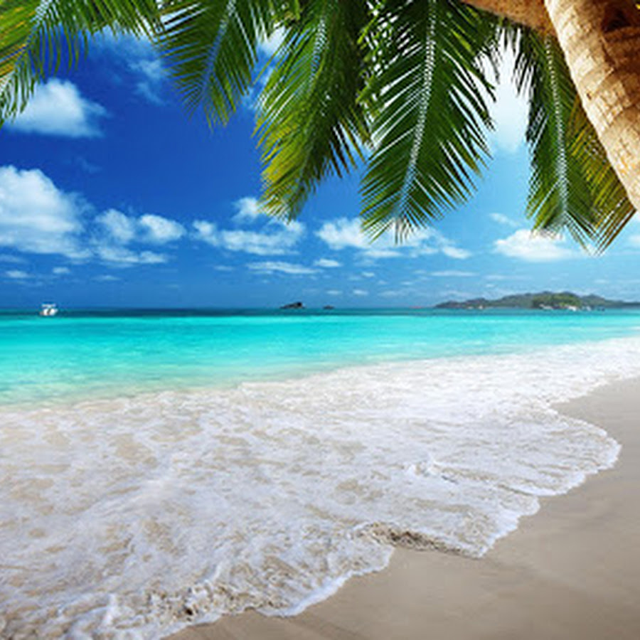 Beach Live Wallpaper - Android Apps on Google Play