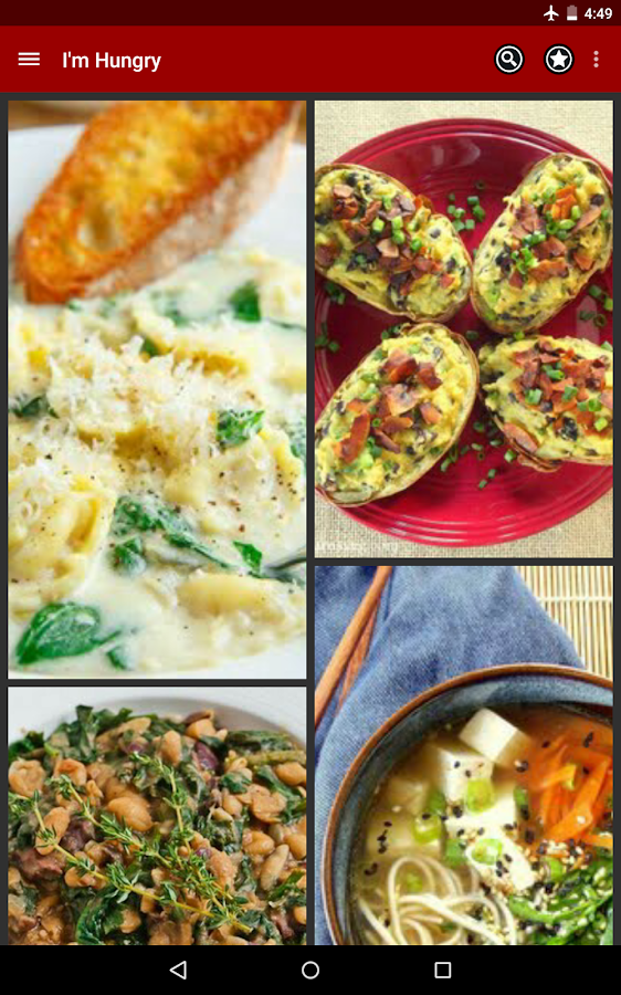 M Vegetarian Recipes
