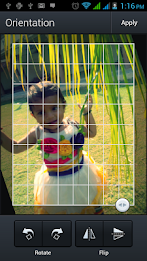 He urges editor poster 4