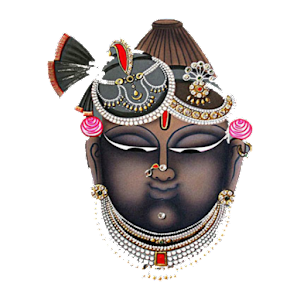 Shrinathji Live Wallpaper - Latest version for Android - Download APK
