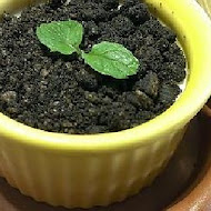 Mita Pasta 米塔義式廚房