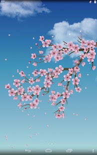 Lastest Sakura blossom APK for Android