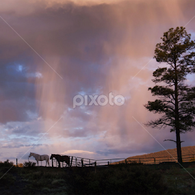 Crack of Dawn by Leona St.Louis - Landscapes Sunsets & Sunrises