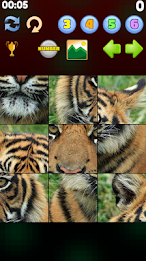 Mori Picture Puzzle poster 2