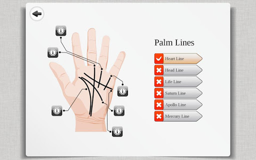 【免費生活App】Palm Reading Premium HD-APP點子