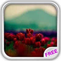 Изображения Tulip and Butterfly Wallpaper на ПК с Windows